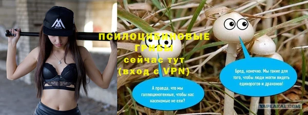 мяу мяу кристалл Бородино