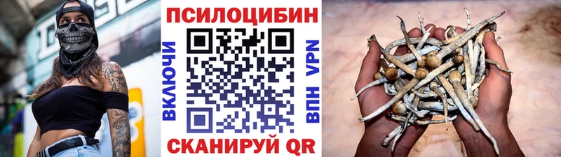 Псилоцибиновые грибы Magic Shrooms  Купить где  Мариинский Посад 